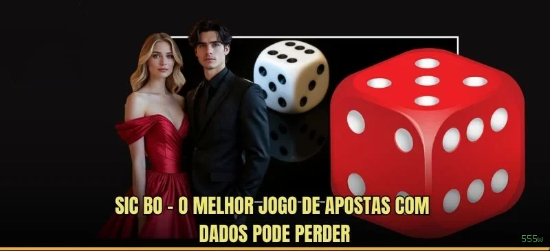 555w Segurança